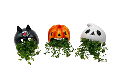 5" Dishgarden Assorted Halloween Howlers